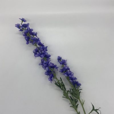 Delphinium blauw