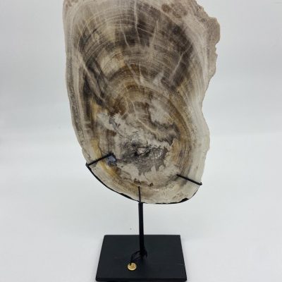 Ornament versteend hout