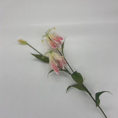 Gloriosa roze